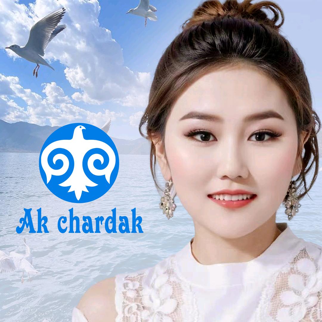 草原上的海鸥