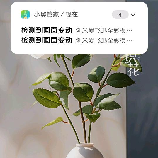 用户3057561753793