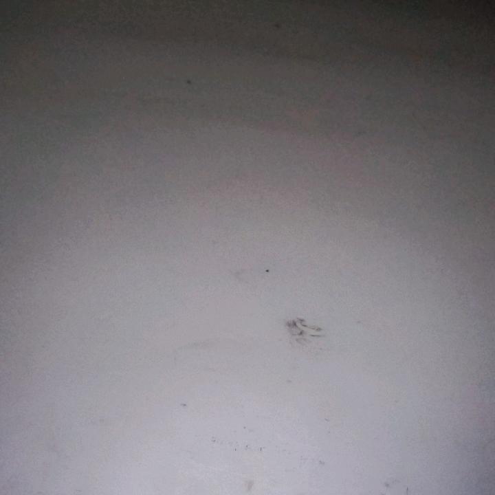 无忘