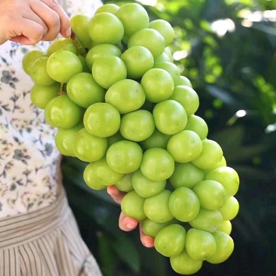 湖南湘水田园农产品