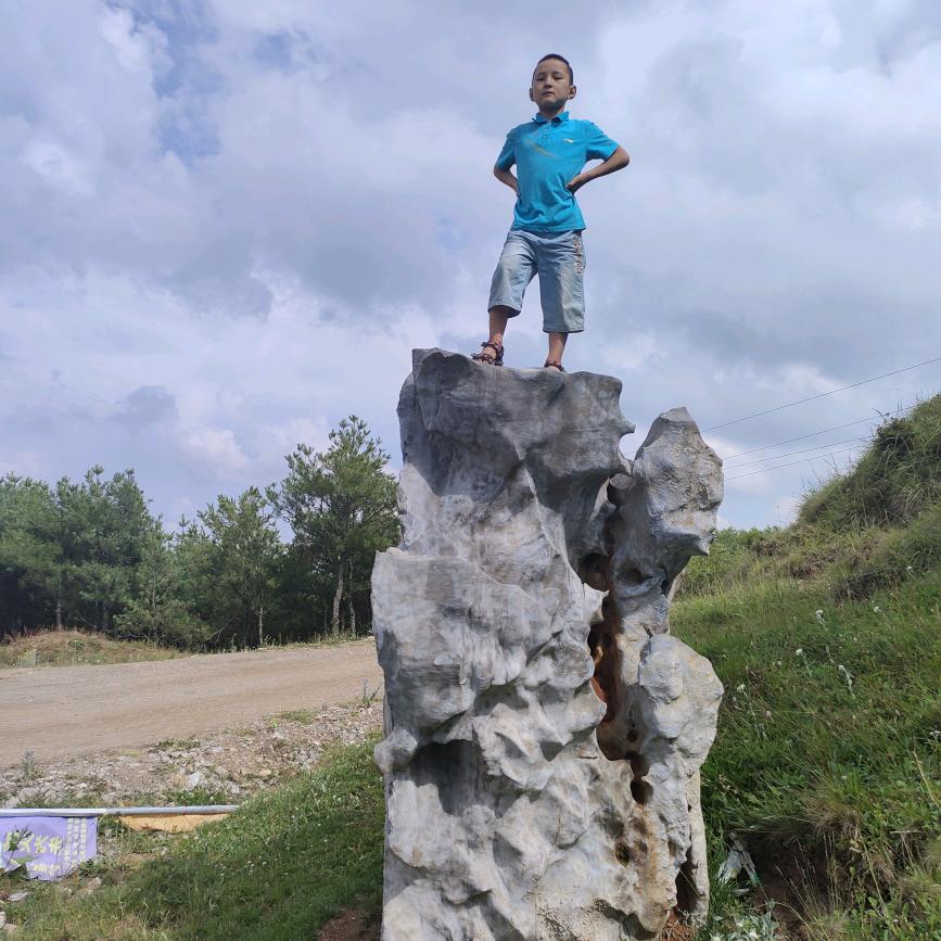 随心所欲73年的牛。