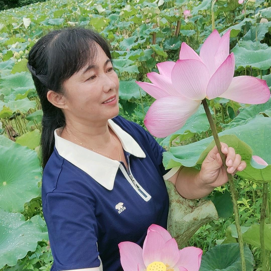 山里苦菜花0208