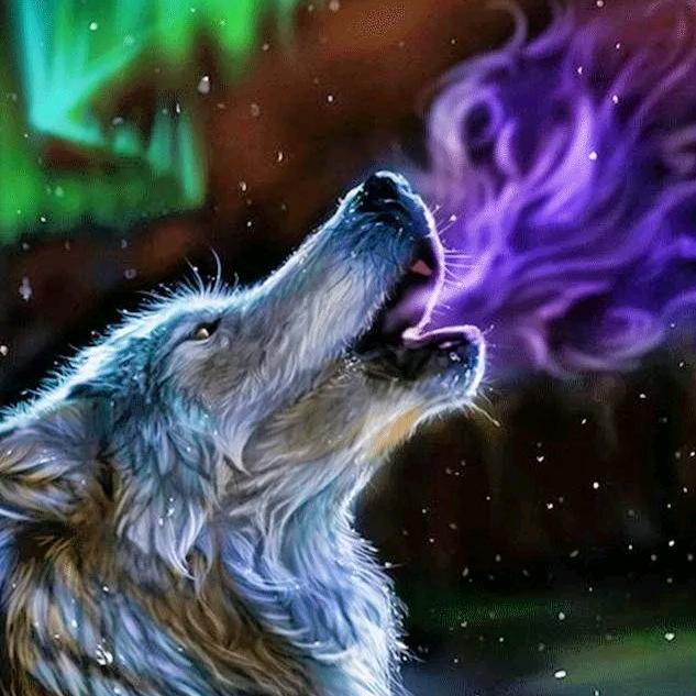 🚬ঞৣঁ᭄ 唔🍺念 ঞৣ᭄