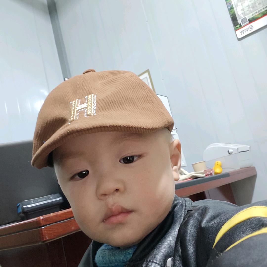 动物园里有什么