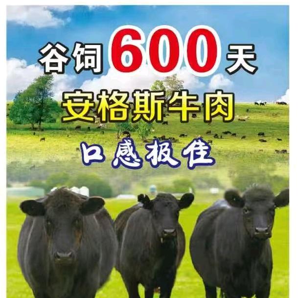 安格斯雪花牛肉