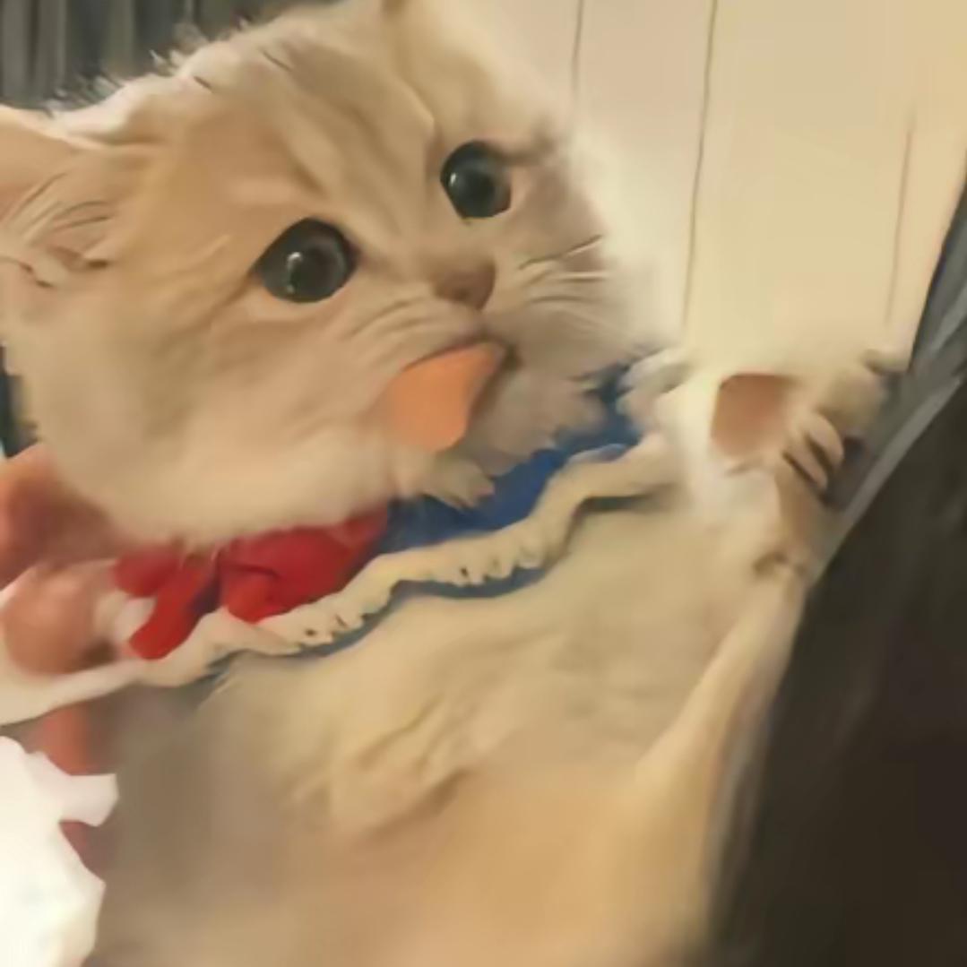 小᳐8大王᳐੭🥕