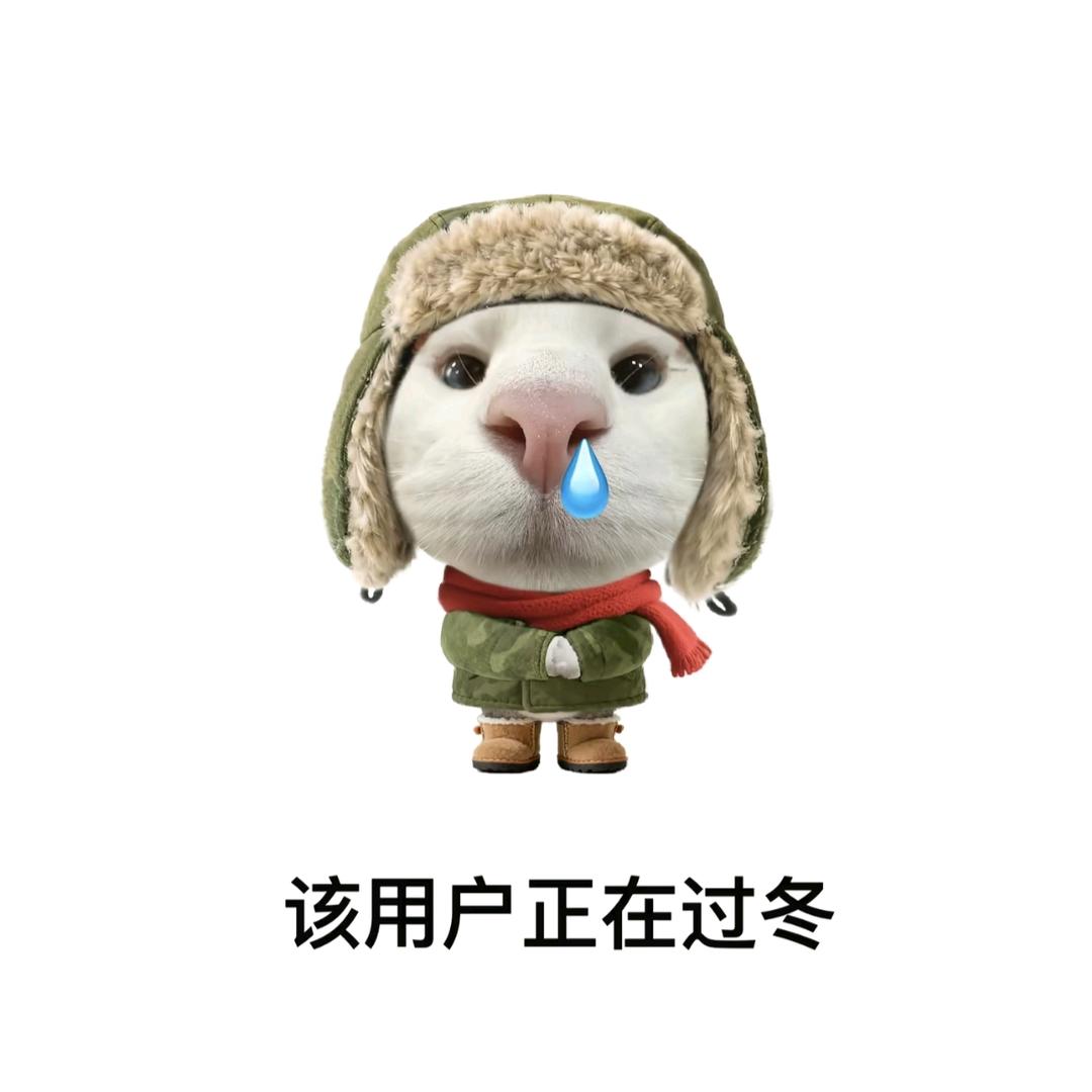 该用户正在过冬