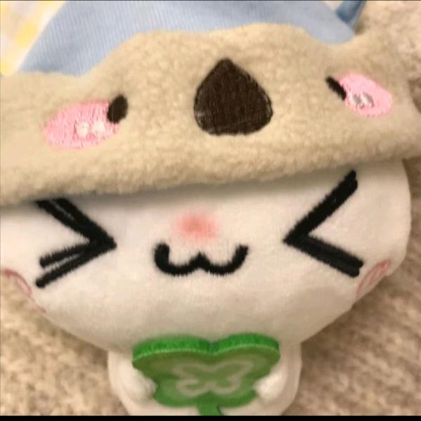 再也不吃饼