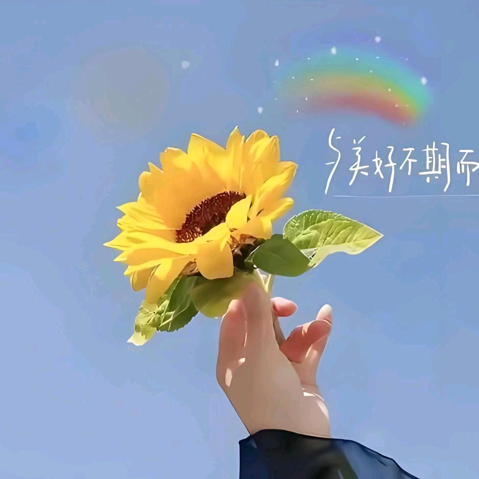 默