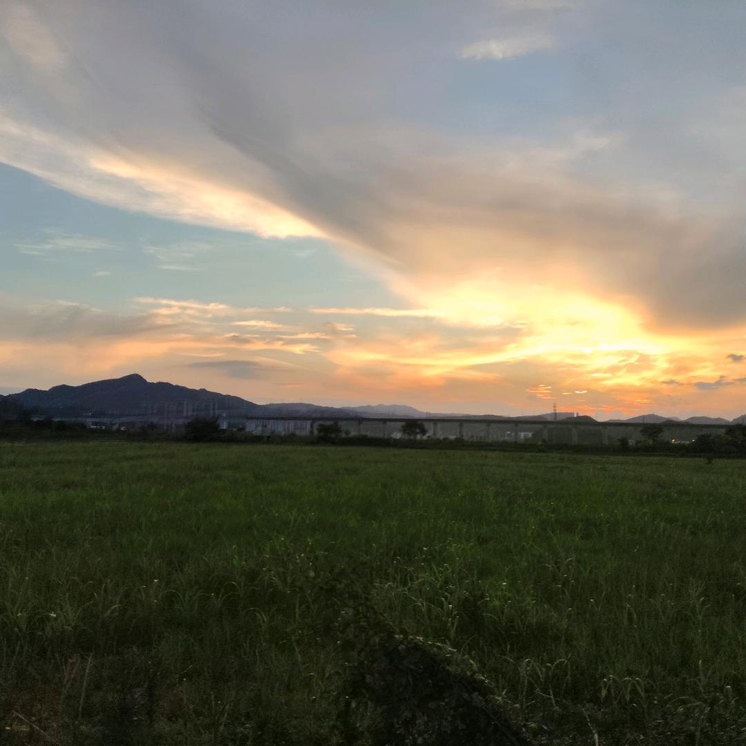 小土豆。聊天室