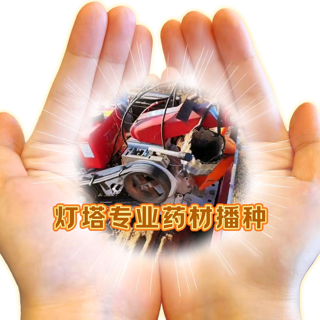 灯塔专业药材播种