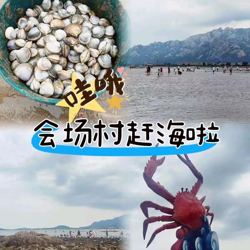 青岛崂山会场赶海园，雨鞋，拖鞋，赶海工具