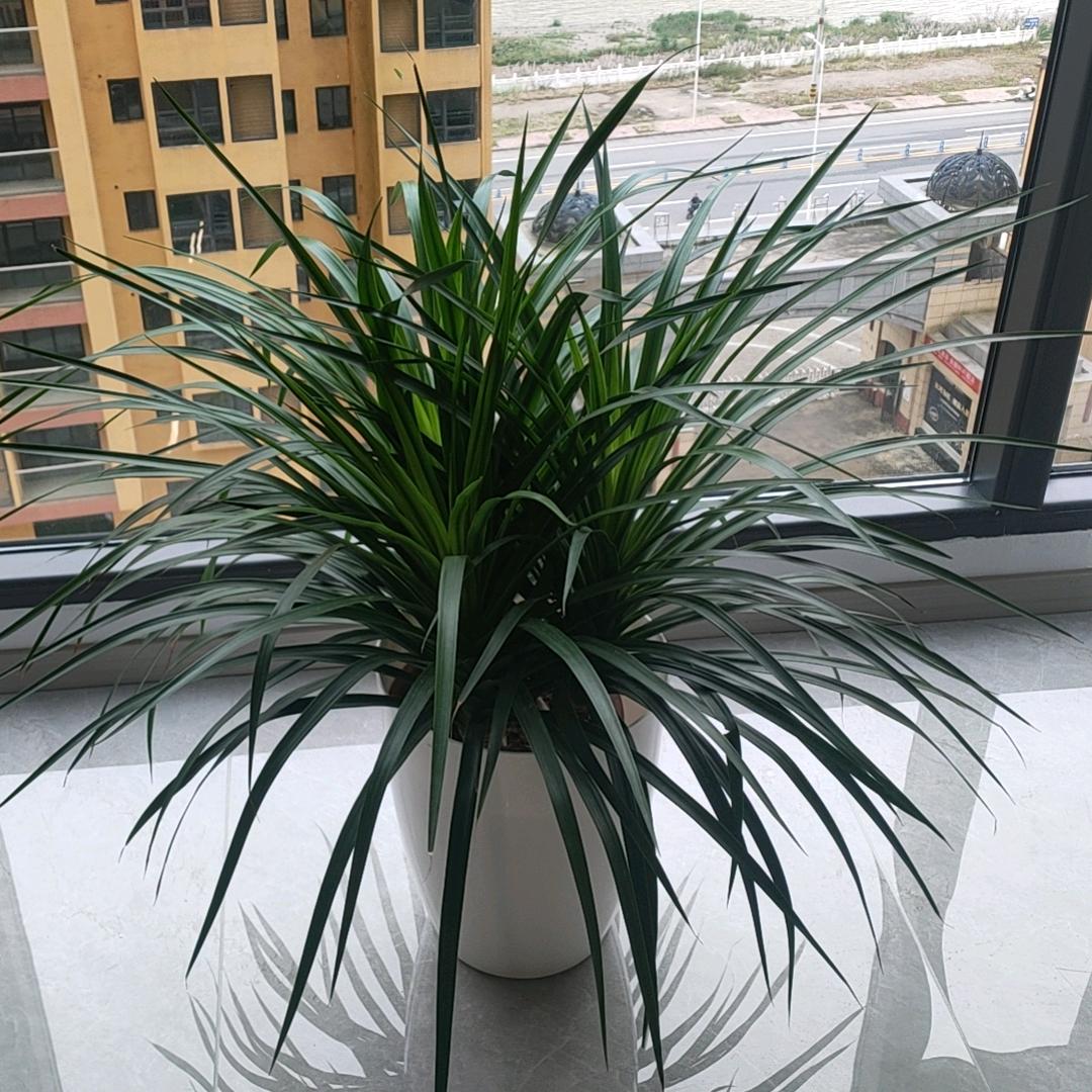 初吻给了香烟。