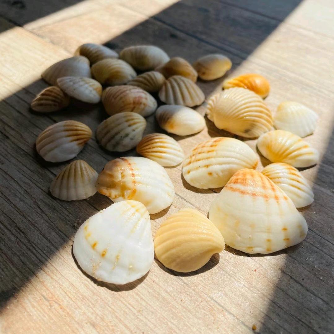 我有一个梦想呢