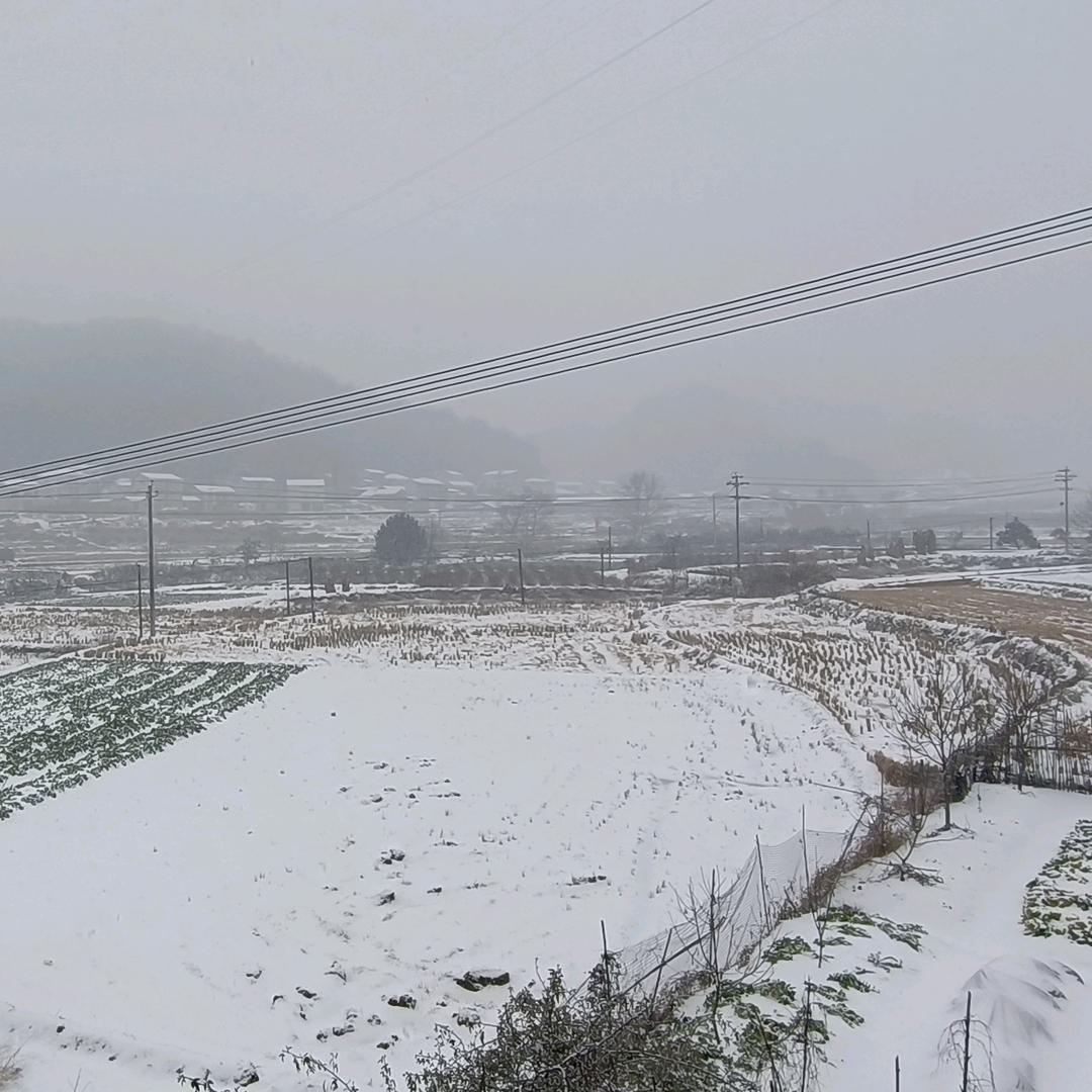 欣茹愿