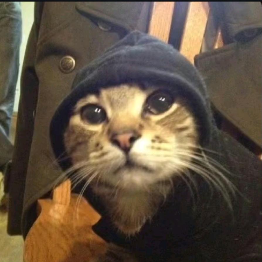 ㅤ   ︌ㅤㅤ   ︌ㅤㅤ   ︌ㅤ