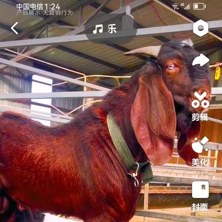 黄姐养殖场