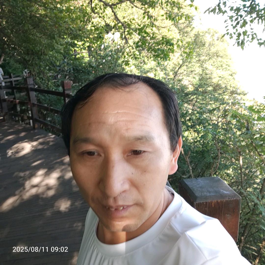 陈哥