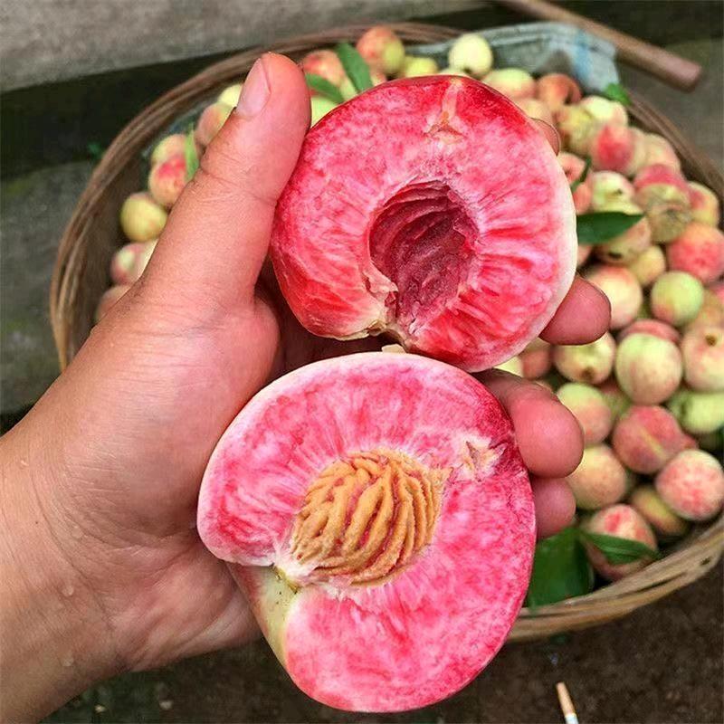 暿熙基地
