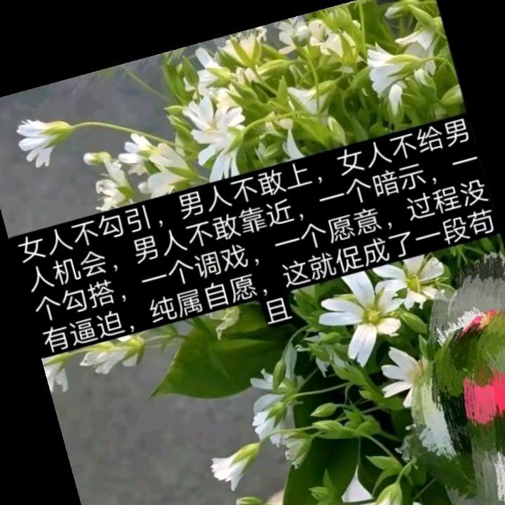 好好的一个家庭被啊噜龅牙齿小三破坏