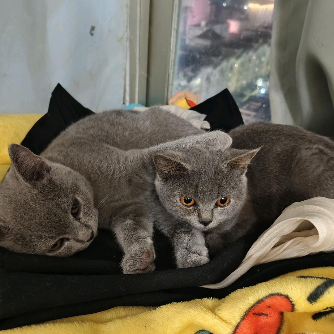 一觉睡到小时候