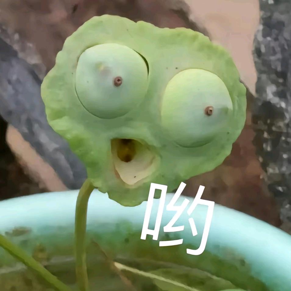 破晓的晓