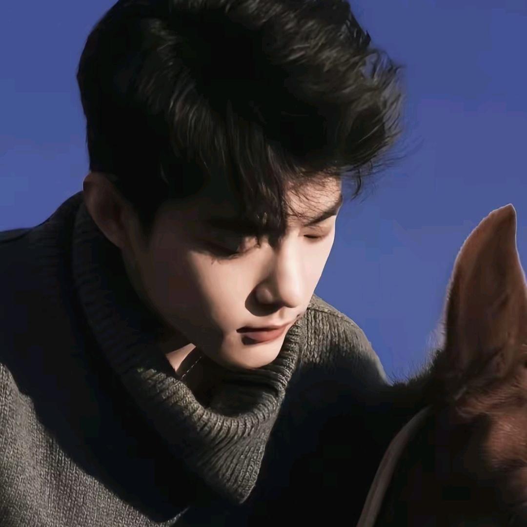 一只爱小钱钱的兔子