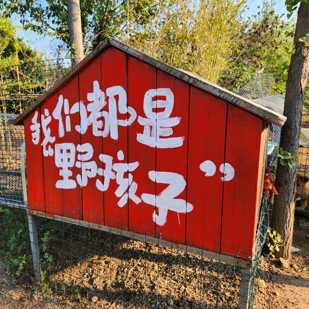 哈喽哈喽哈雷