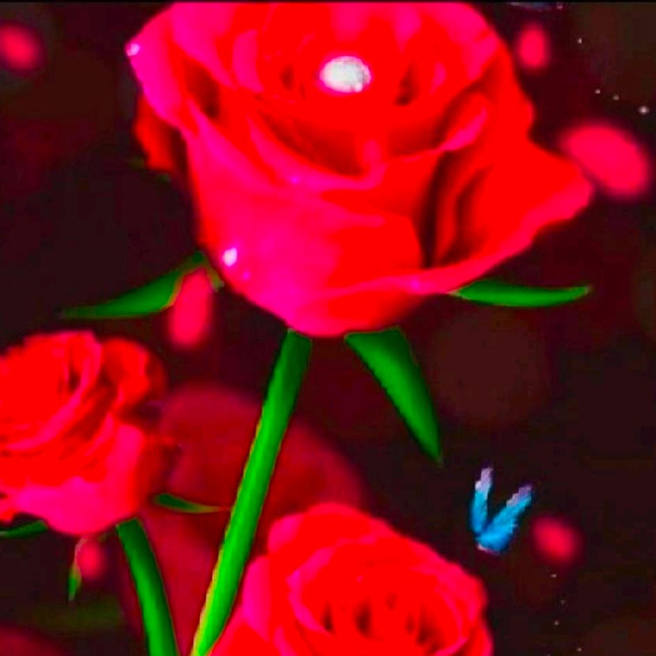 花非花，雾非雾