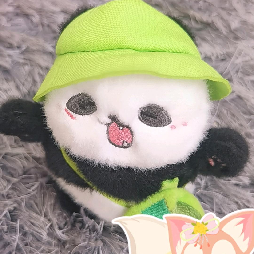 🇨🇳洋洋哥🇨🇳