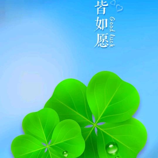 清茶与酒