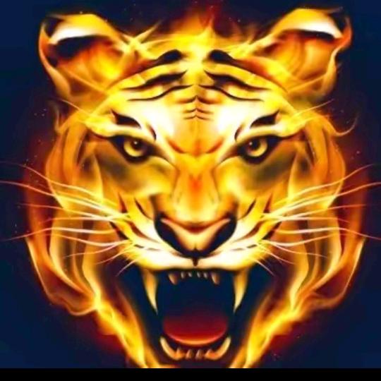 不负遇见² ⁵ ⁷