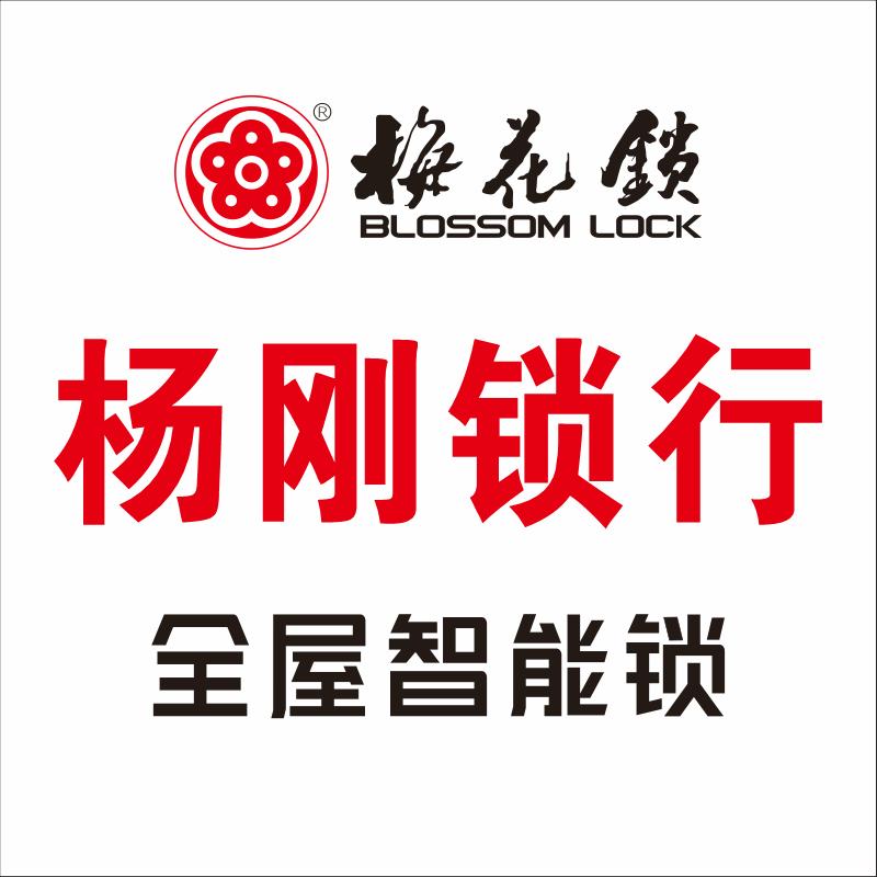 梅花全屋智能锁杨刚锁行