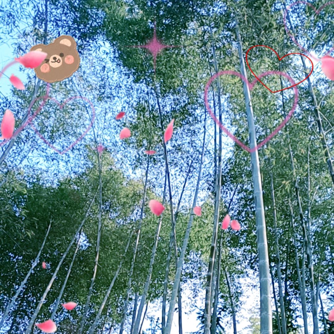 九天萌萌