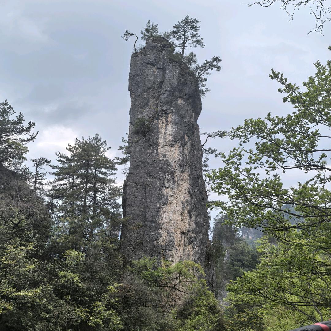 一地鸡毛