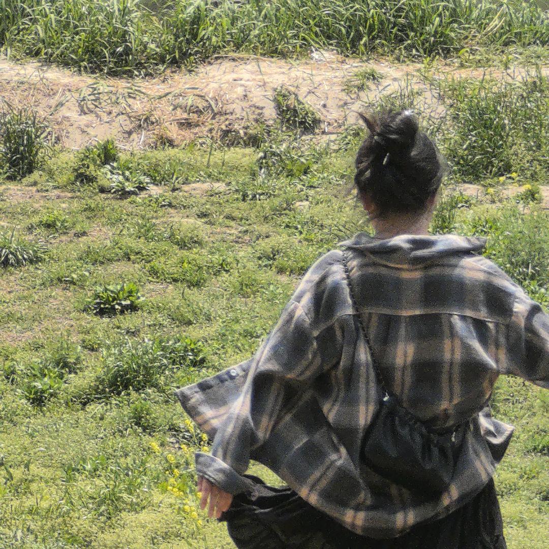 溪野的旅游日记