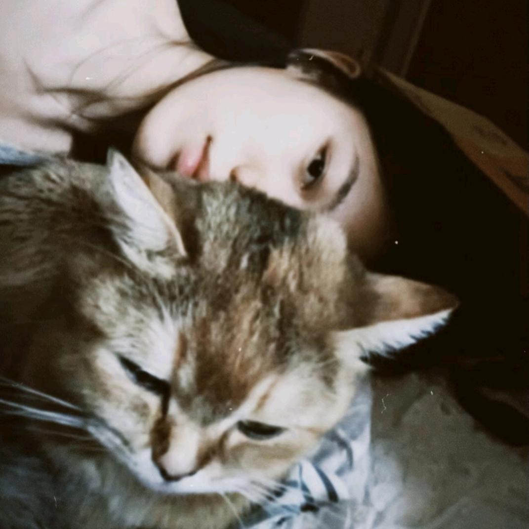 奈奈-