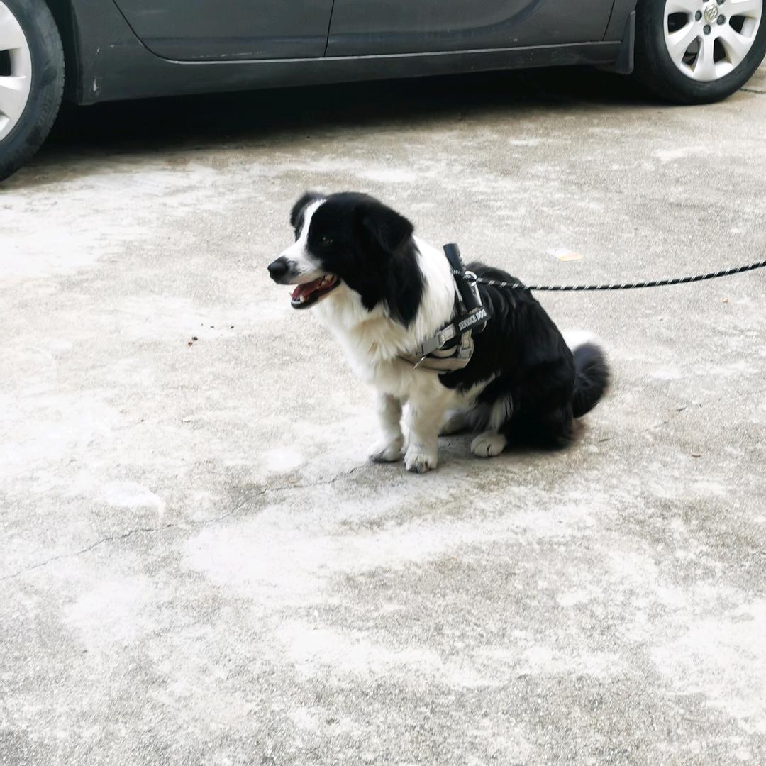 某人某人