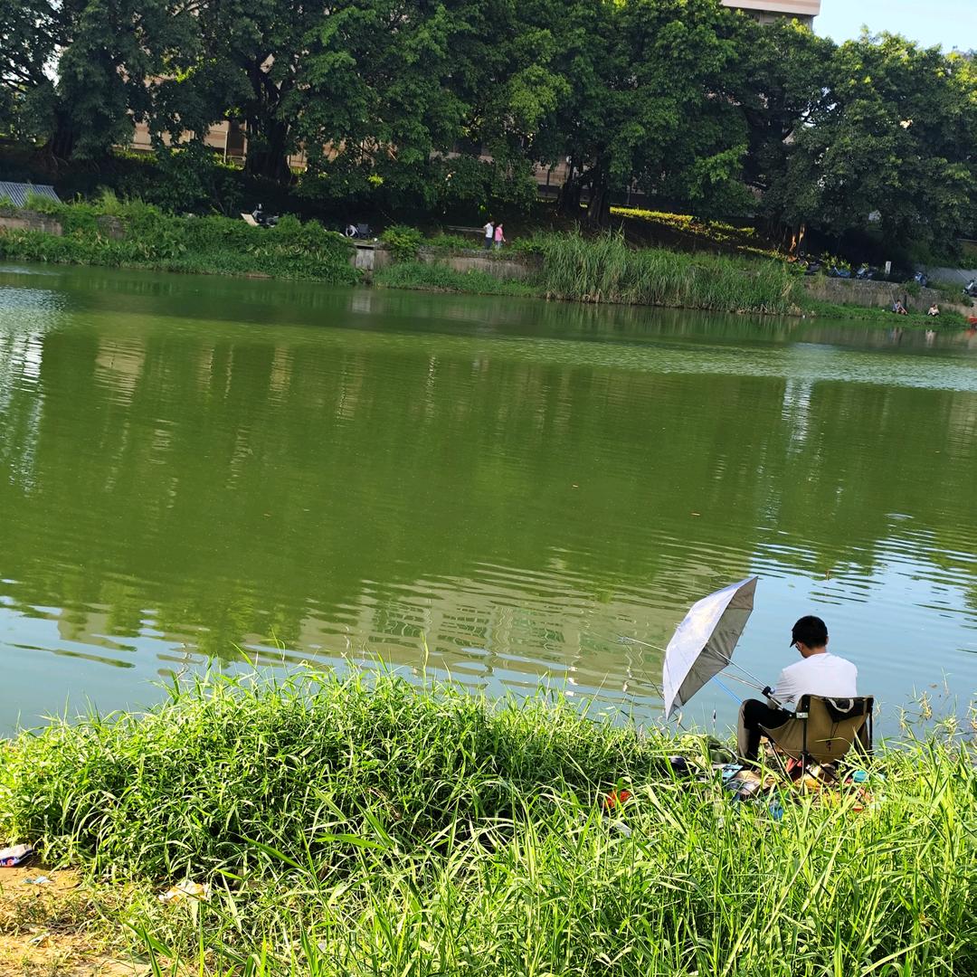 缘来是伱