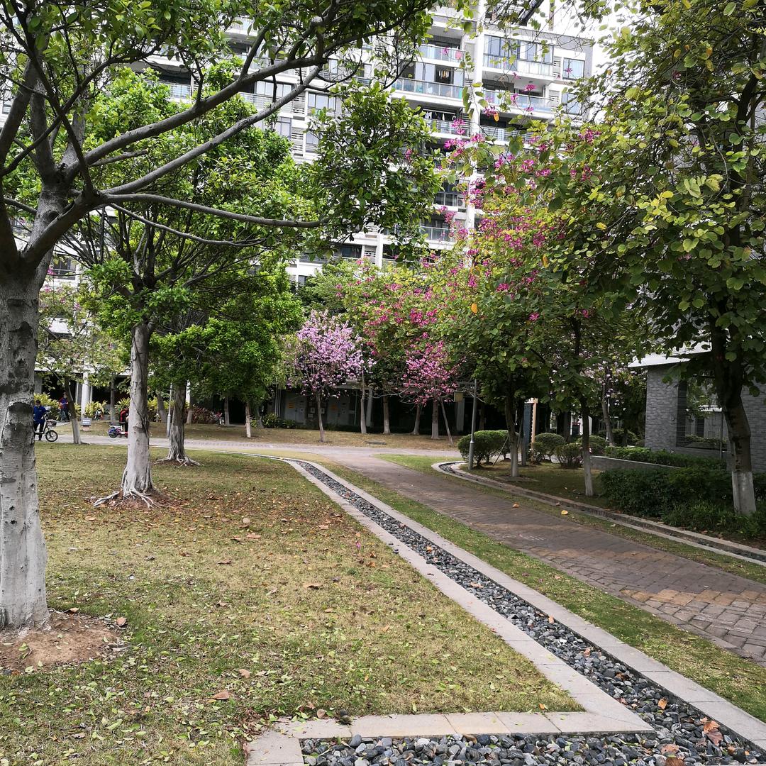 西山区小娜服务中心（个体工商户）