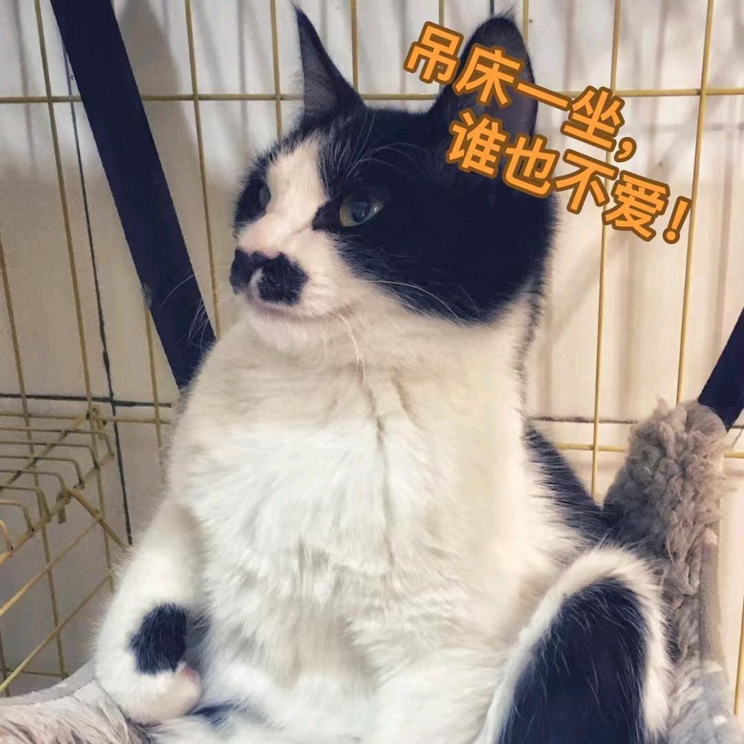 比奇堡第六人