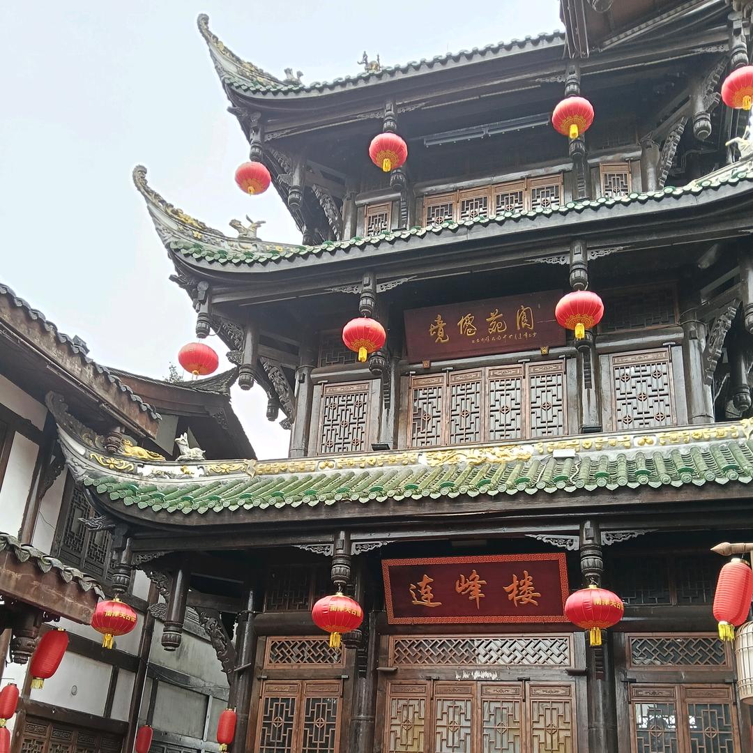 城南花会开