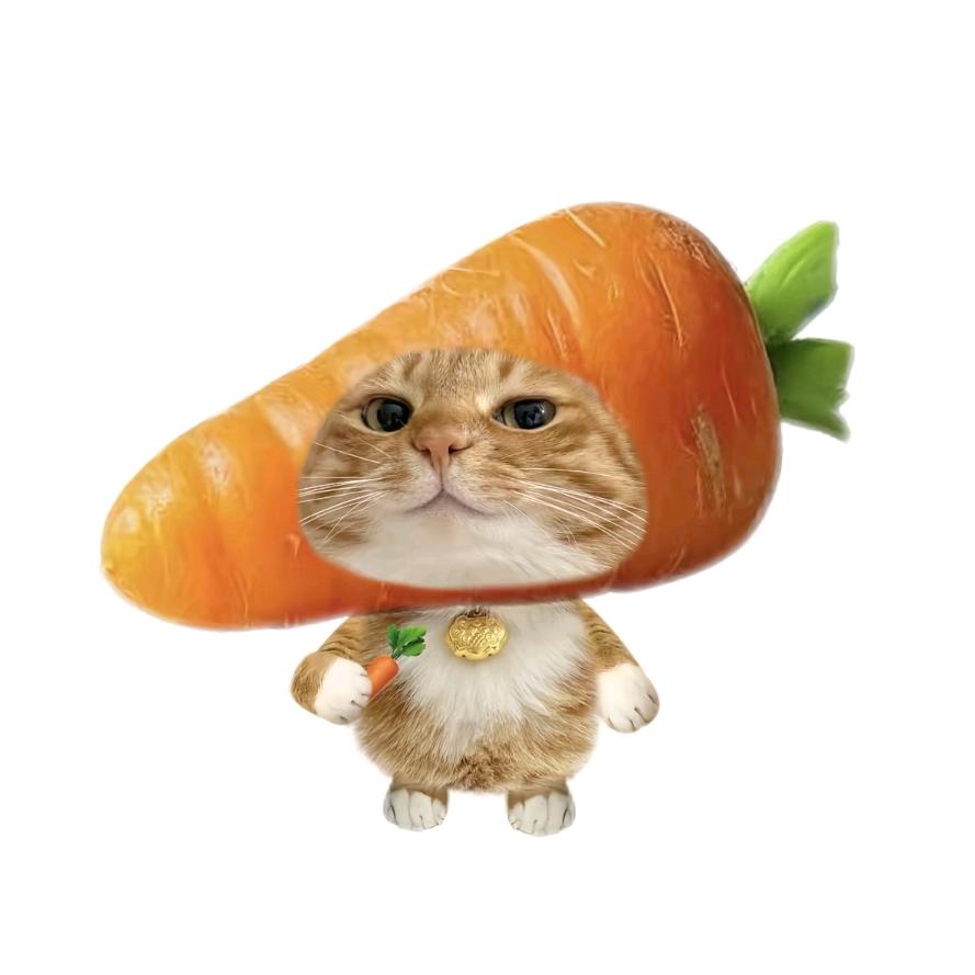 祈愿小艾