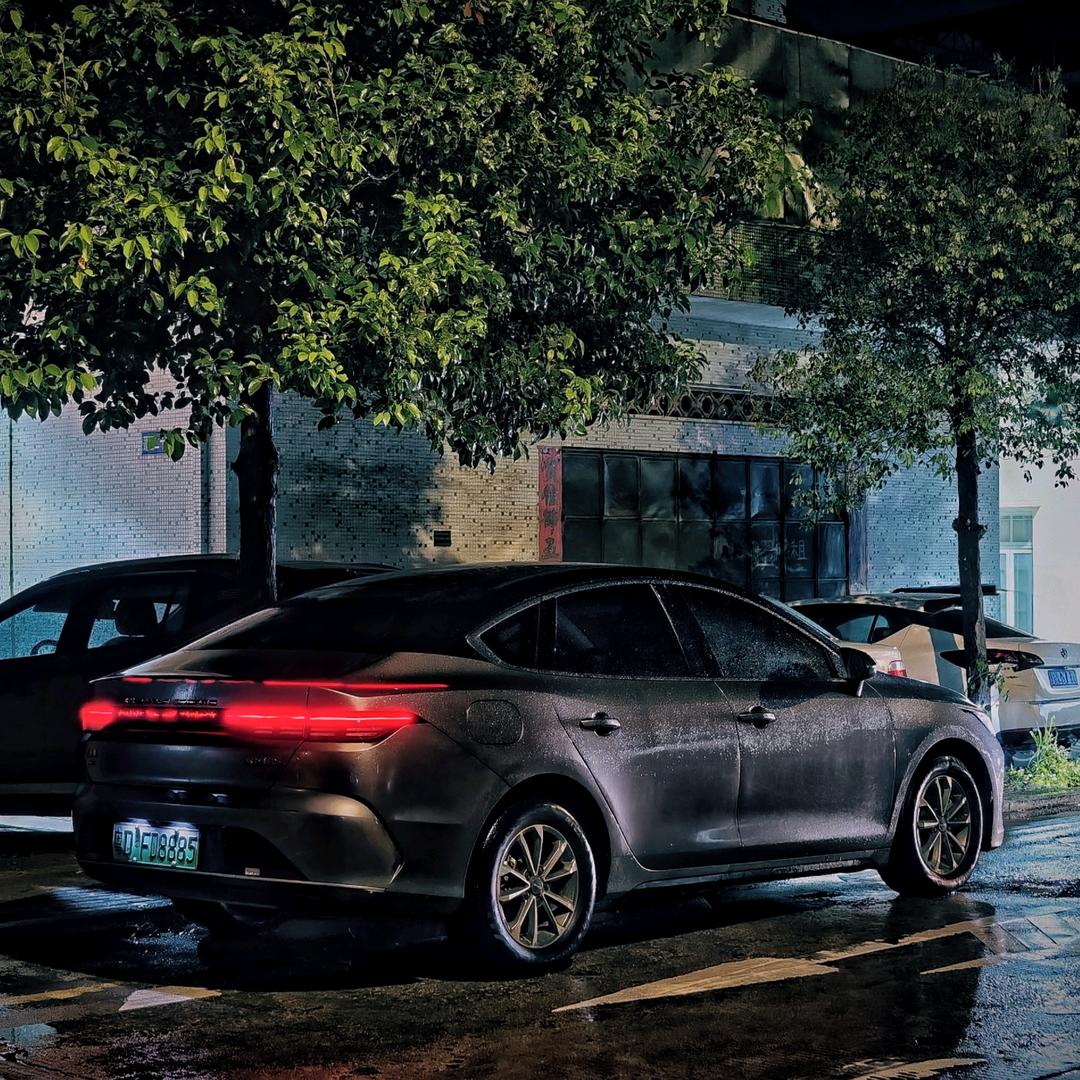 爱种花爱养龟的小东东🥰