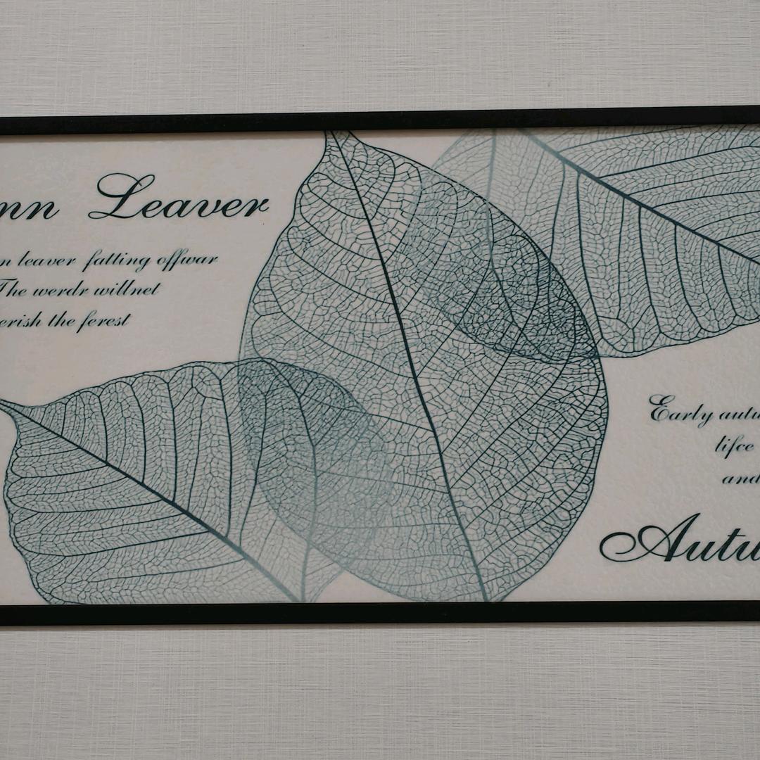 张先生深泽仪优品铺