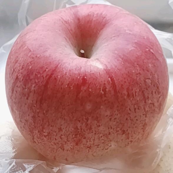 摆渡人