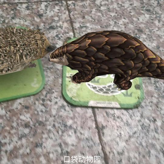 陈mm