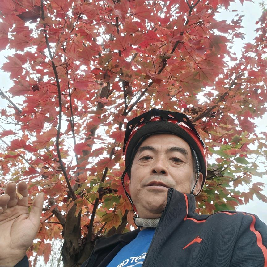 明月照初心
