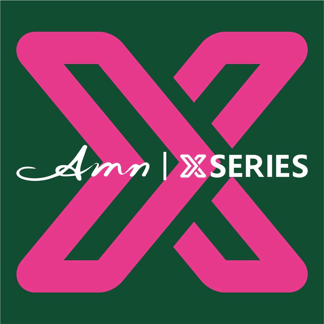 Amn阿米纳艺术音响