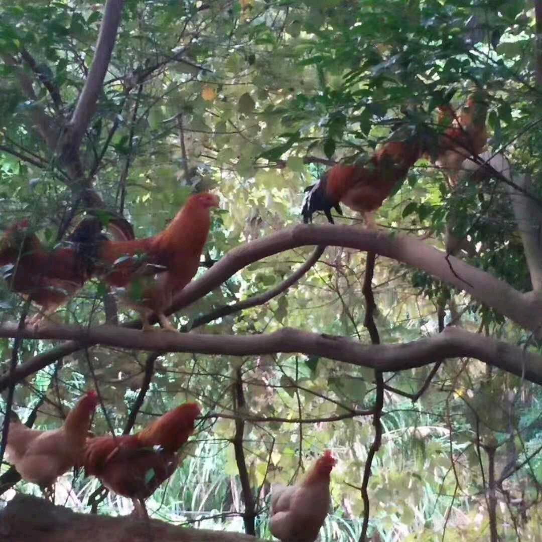 还记得我吗